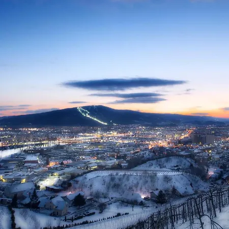 Vista Pohorje ماريبور