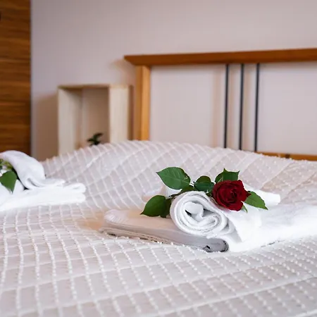 Διαμέρισμα Vista Pohorje *